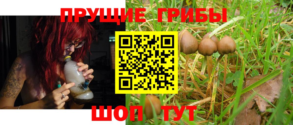 Галлюциногенные грибы мицелий  Вход с VPN  Галлюциногенные грибы MAGIC MUSHROOMS  Кохма 