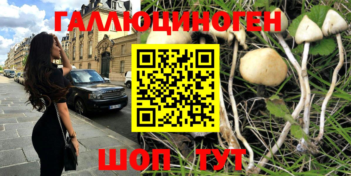 Псилоцибиновые грибы мухоморы Кохма